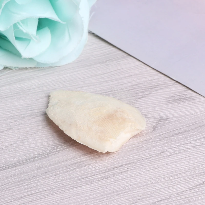 1 сумка Cuttlebone Каракатица сепия кости каракатицы Фиш птица Еда кальция Pickstone для