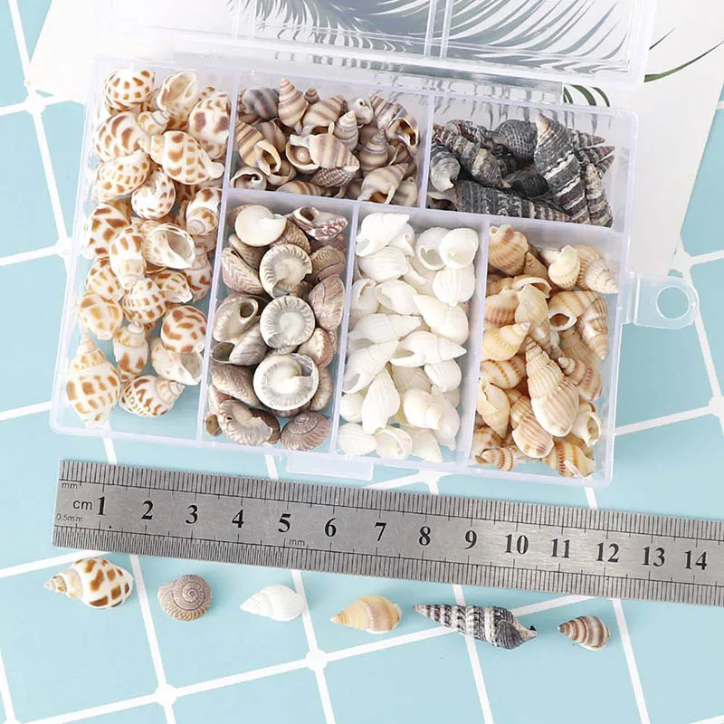 

1Box Mix Sea Shells Conch Seashells Beach Decor Craft Diy Marine Style Aquarium landscape