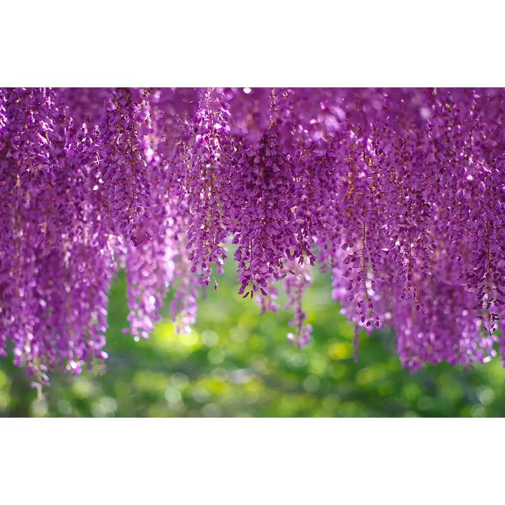 

SHUOZHIKE SHUOZHIKE Vinyl Custom Photography Backdrops Prop Flower and Wooden Planks Photography Background 200309HK-009