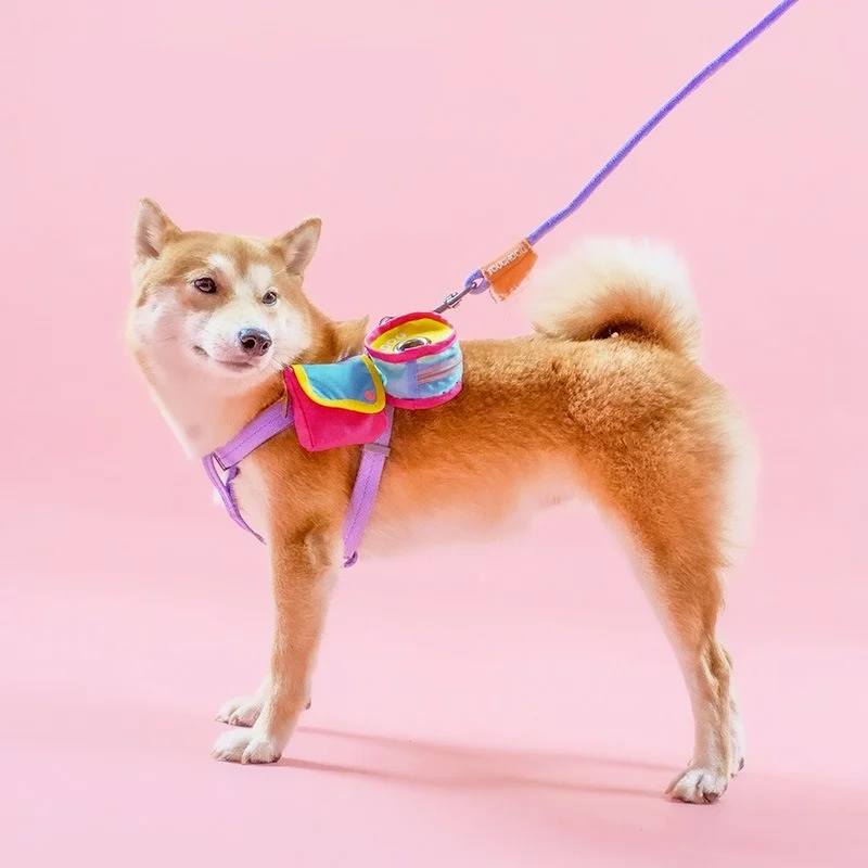 

Pet Three-in-one Travel Bag Dog Walking Portable Bag Cute Cat Dog Self-backpack Food Bag with Leash Practical Pet Accessories