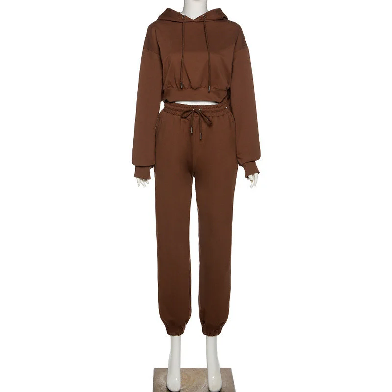 

Casual Tracksuit Women 2 Piece Set Winter Long Sleeve Sweatshirt High Waist Pants Sweatpants Fashion Outfits Jogging Femme