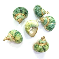 1pcs natural shell pendants green shell conch pendant charms for jewelry making necklace earrings accessories fit necklace