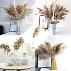 Новый натуральный сушеный тростник, натуральный сушеный тростник, основной дом, пампасы для творчества, Настольная трава, украшение комнатыбесплатная доставка