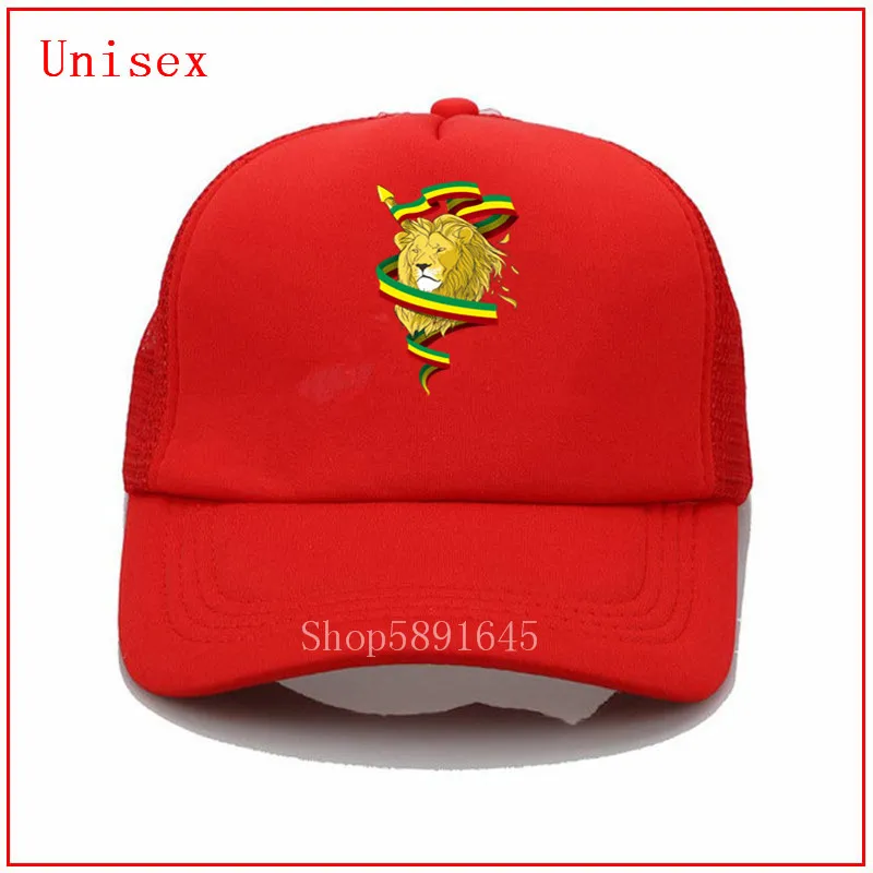 Регги Лев Zion Rasta Бейсболка крутая пользовательская вышивка Snapback шляпа для мужчин