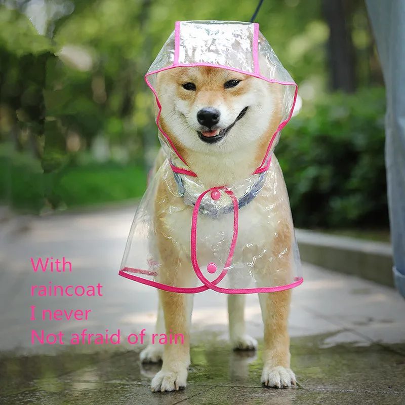 

New waterproof dog raincoat with hood transparent pet cat puppy raincoat pet clothes small, medium and large dog pet supplies ra