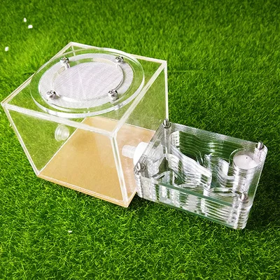 Мини Акриловые и гипсовые муравьиные фермы Муравьиное Гнездо дом для молодых