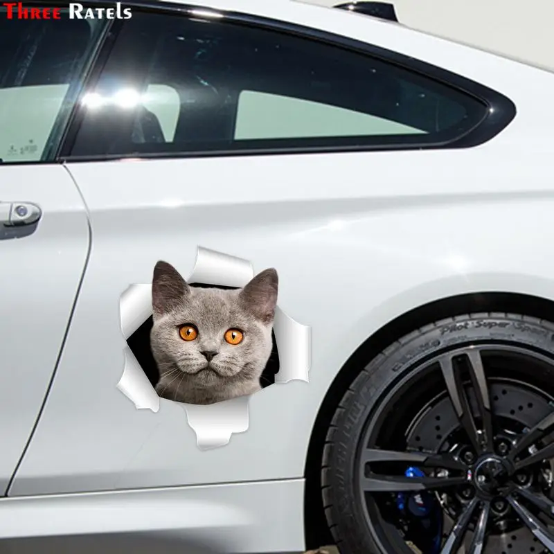 

Three Ratels C304 cute 3D british shorthair cat stickers bike stickers car sticker