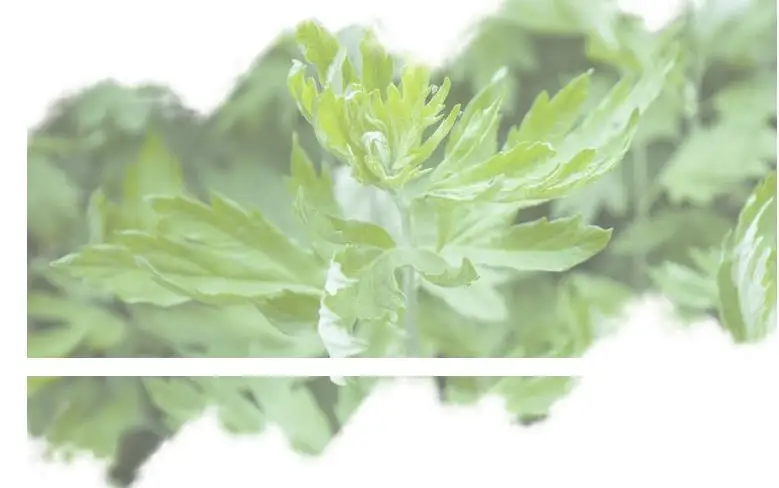 180 шт мини трубка мокса самоприклеиваемая китайская наклейка для моксотерапии