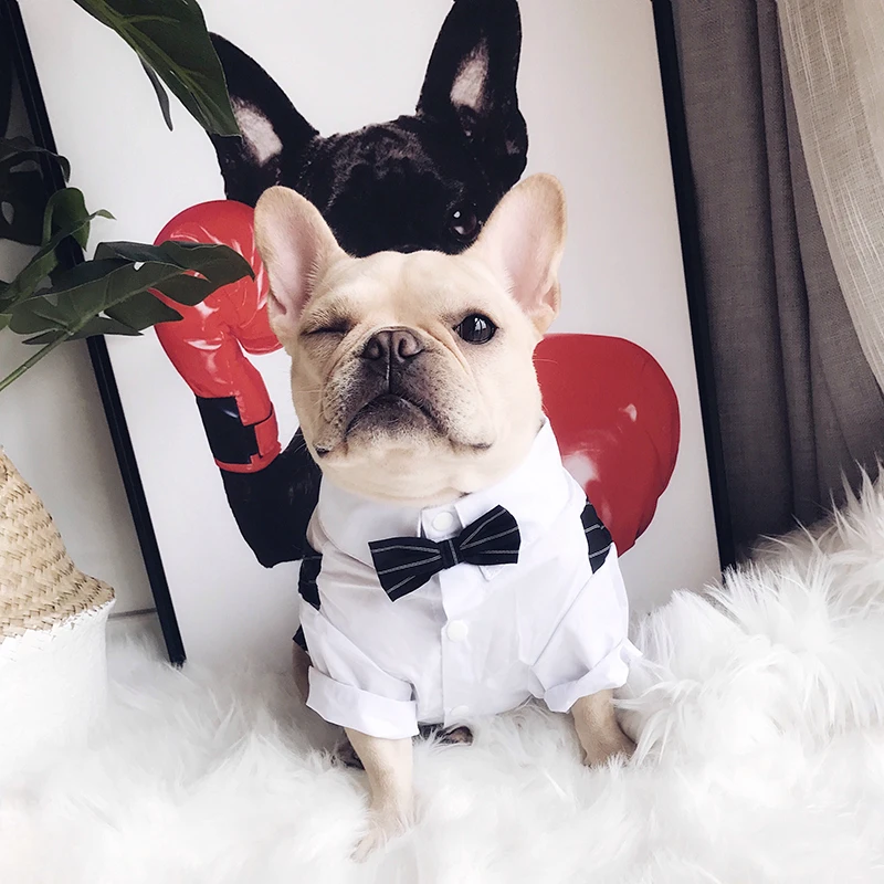 

Мопс Bulldogs для девочек, костюм с футболкой одежда собака Свадебная вечеринка костюм платье ласточкин хвост рубашка размера плюс, одежда для собак оптом товары для домашних животных