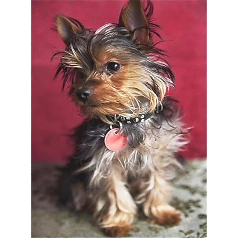 

Набор для вышивки животными йоркширским терьером 11CT, набор для рукоделия, холст с принтом, хлопковая нить, домашняя распродажа