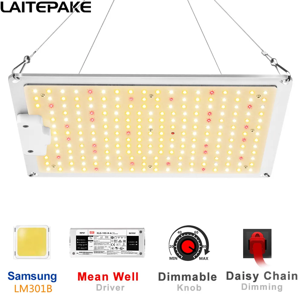 LED Grow Light Samsung LM301B+Mean Well 2000W 4000W 6000W Quantum Sunlike Full Spectrum Phyto Lamp For Grow Tent Plant Growth