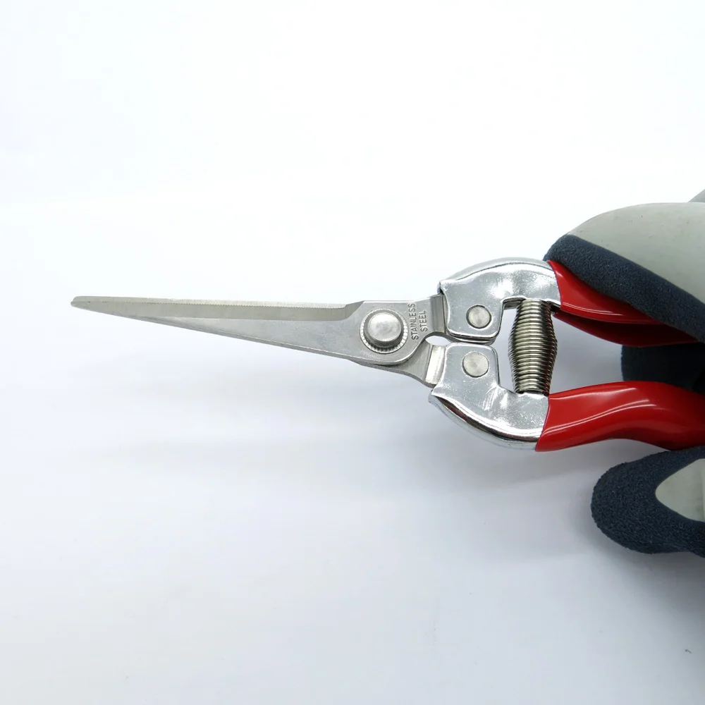 Ножницы для обрезки фруктов садоводство озеленение обрезка сада щипцы ножницы