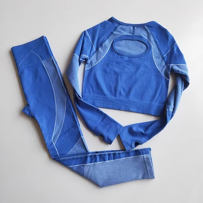 Комплект из 2 предметов Женский бесшовный спортивный костюм Омбре одежда для