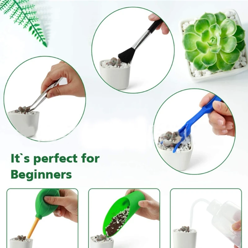 

Succulent Tools Set Garden Tools Set Outdoor Growing Tools Best for Family Use M17E