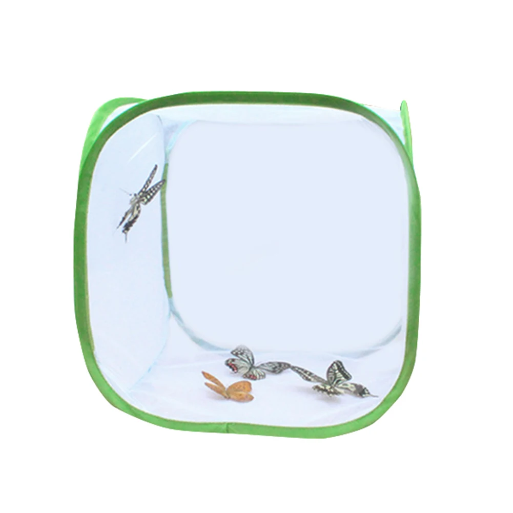 Набор для насекомых-бабочек оригинальный набор обучения естественным наукам