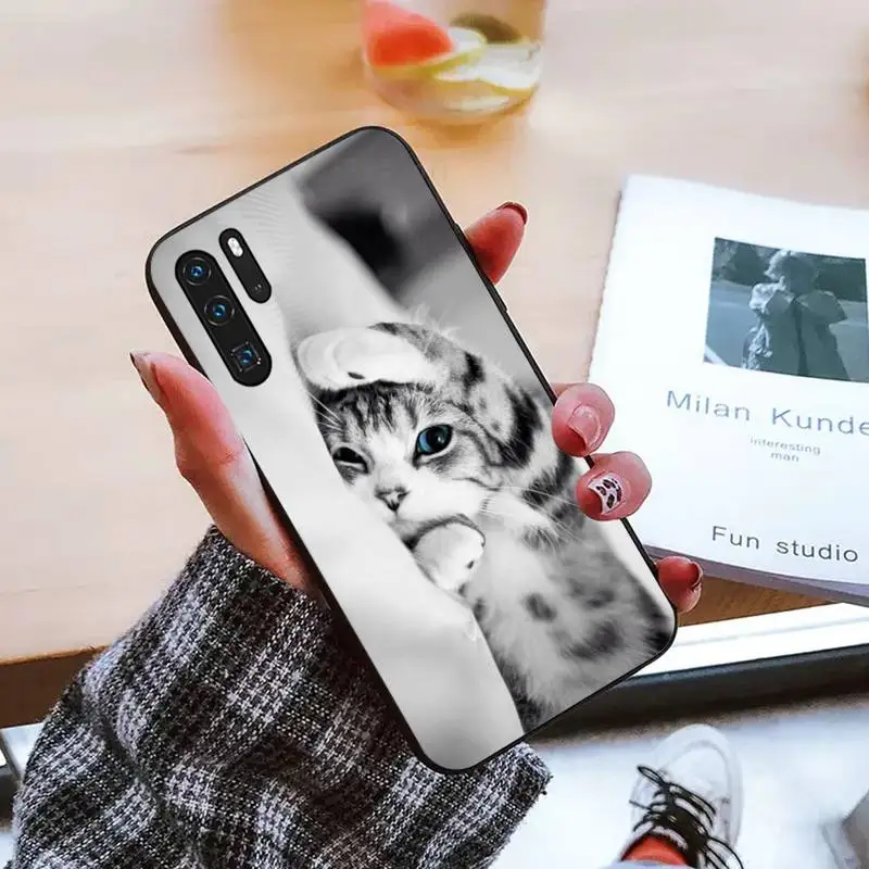 

Cute Animal Cat Phone Cases For Huawei honor Mate mate P 10 9X 10i 20 30 40 y7 lite pro p smart 2019