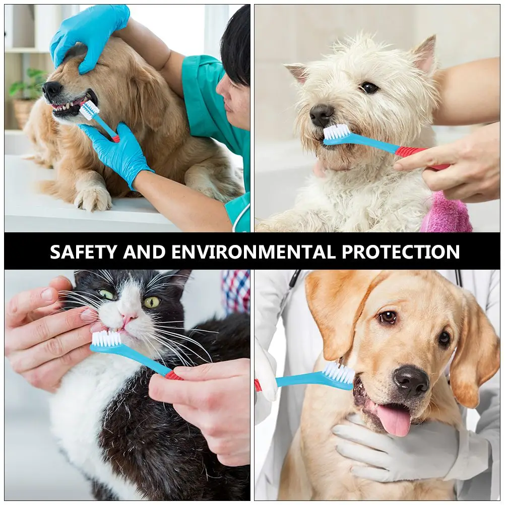 4 шт. Стоматологическая гигиена полости рта стоматологической помощи собака