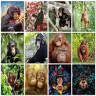 GATYZTORY DIY картины по номерам обезьяны наборы домашний декор животные живопись по номерам рисунок на холсте Ручная роспись искусство подарок