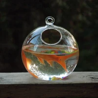 2pcspack diameter12cm middle size glass terrarium aquarium home decorative small open hanging fishbowl stand table vase