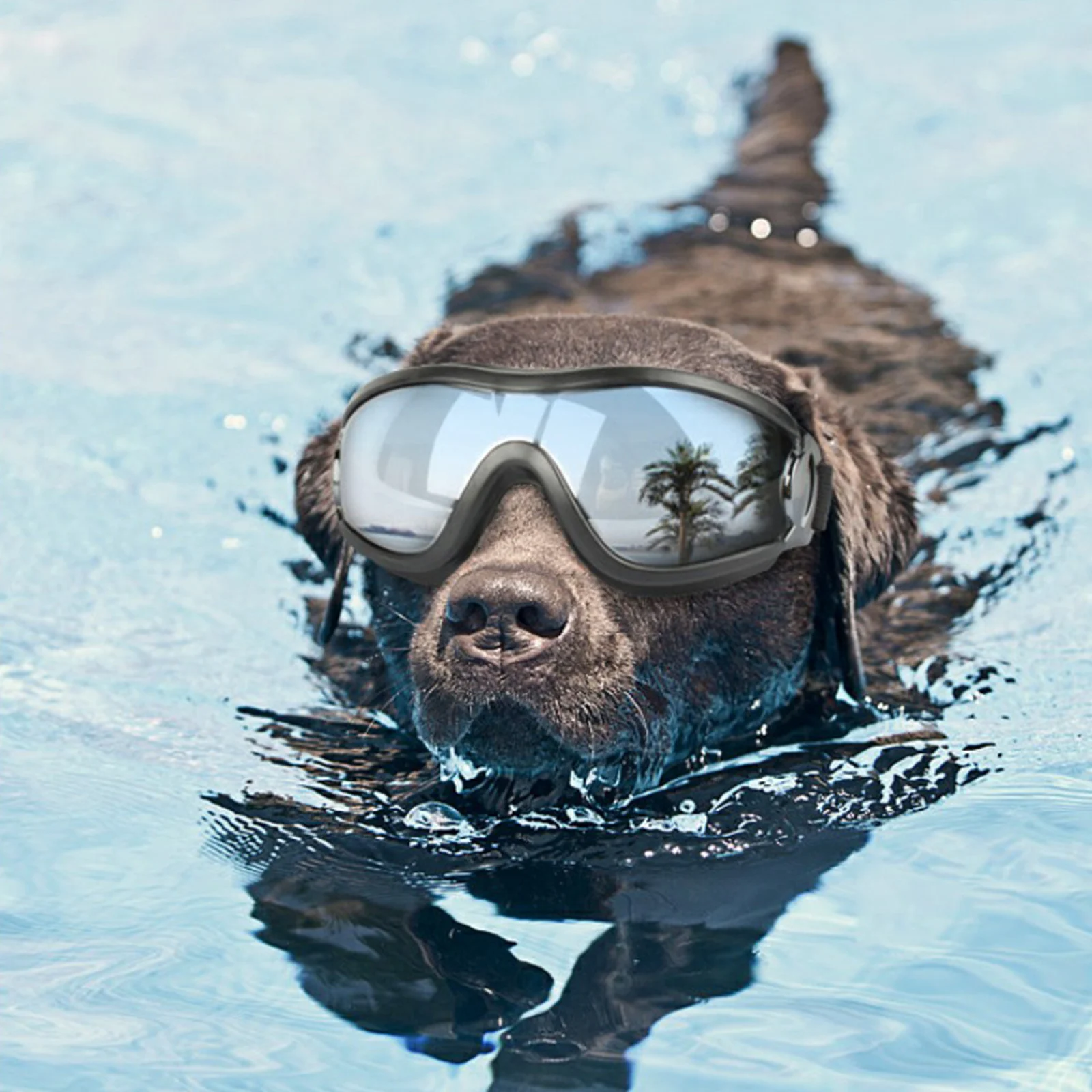 

Pet Waterproof Windproof Eye Protection Goggles Fashion Pet Dog UV Goggles