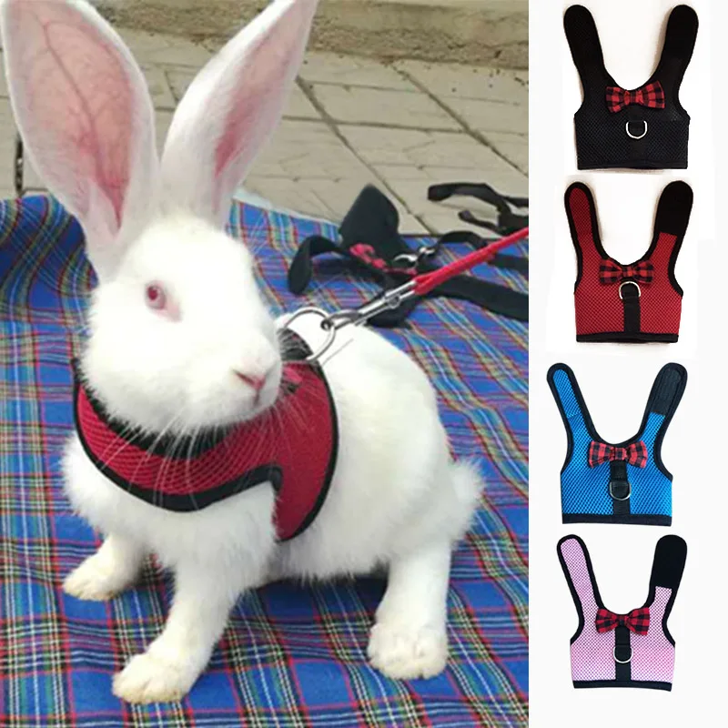 Arn&eacute;s suave de malla con correa para mascotas, chaleco de Animal peque&ntilde;o, plomo para h&aacute;mster, conejo, conejo, accesorios para mascotas, conjunto de correa de plomo-0