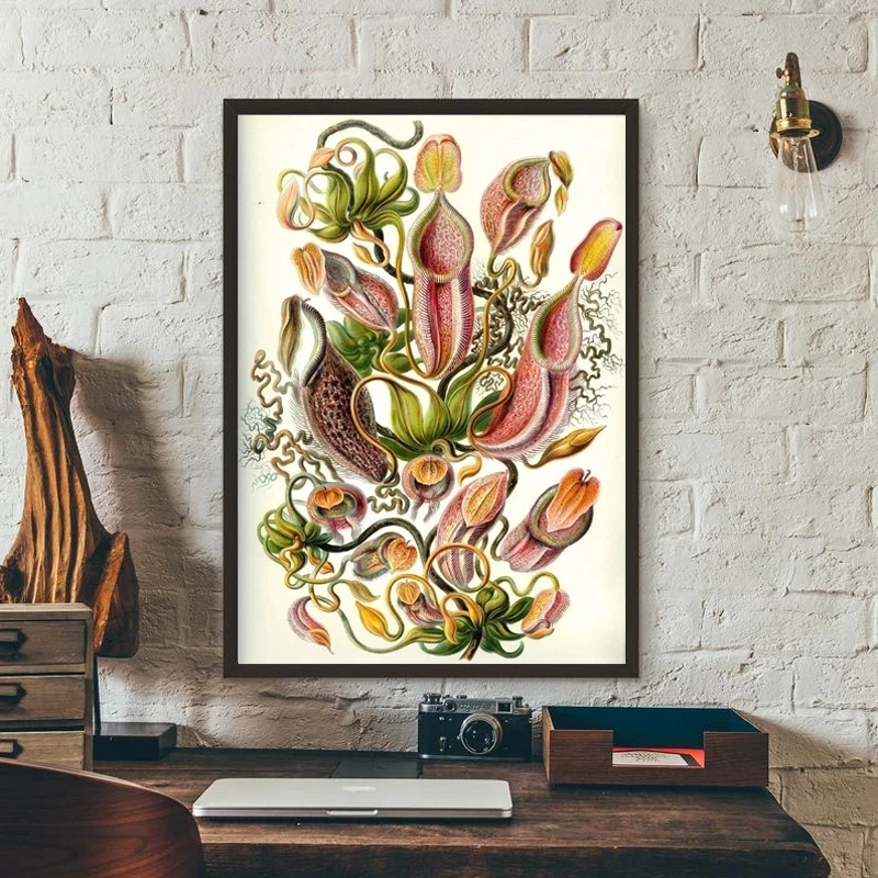 

Retro Poster Carnivorous Plant Poster Haeckel Nepenthaceae Tropical Pitcher Plants Monkey Cups Prints Wall Art Painting