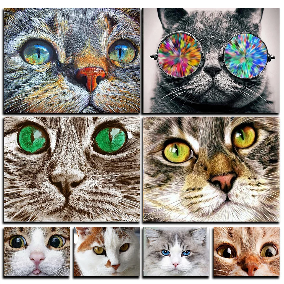

DIY Full Square/round Diamond Animal Diamond Painting 5D Cat Diamond Crafts DIY Colorful Big Eyes Diamond Art DIY Sunglasses