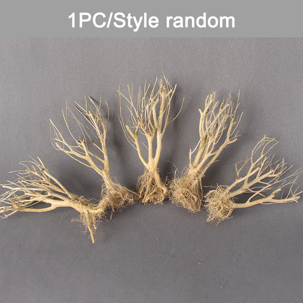 Аквариум для рыб змеи Террариум окружающая среда маленький аквариум дрифвуд