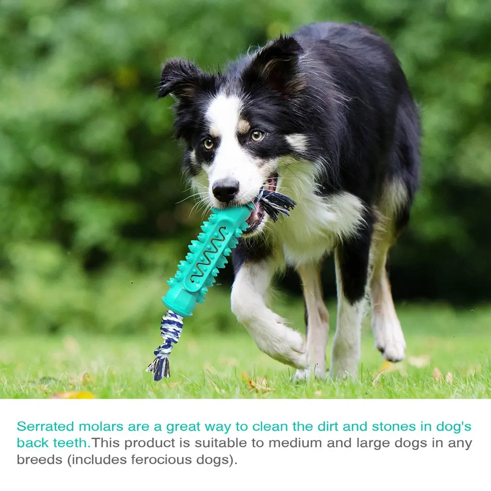 

Factory direct sales Creative Dog Toy Molar Stick Toothbrush Dog Bite Durable Cotton Rope Dental Care Brushing Safety Stick New