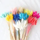 Настоящие сушеные букеты из натуральных цветов, 30-100 шт., зайцехвостая трава, пампасы Lagurus ovatus для сада, домашний декор, сделай сам, праздничная свадьба