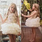 Индивидуальное платье цвета шампанского для маленьких девочек, Многоярусное платье для детей, кружевной топ с аппликацией, платье для дня рождения для девочек