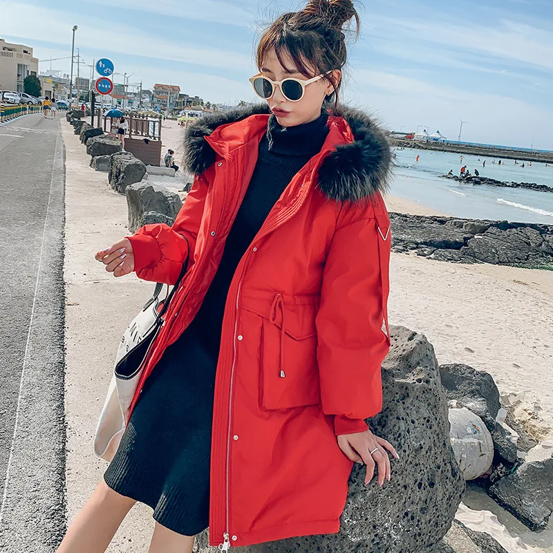 Новое поступление женская зимняя куртка с хлопковой подкладкой теплая модная