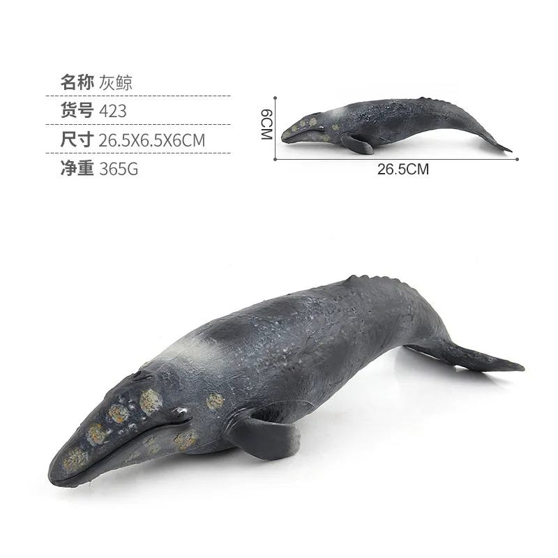 Grey whale 365g Моделирование смолы мускус Белый Кит КИТ синий кит морской Кит животное биологическая модель КИТ серия игрушка детский подарок - Цвет: Grey whale 365g