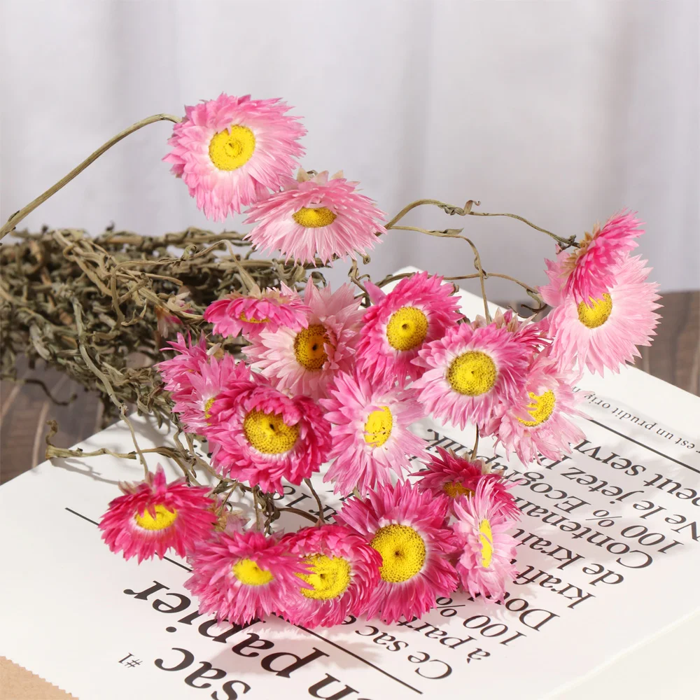 Маленький натуральный сушеный цветок Happy Flower миниатюрный для самостоятельного