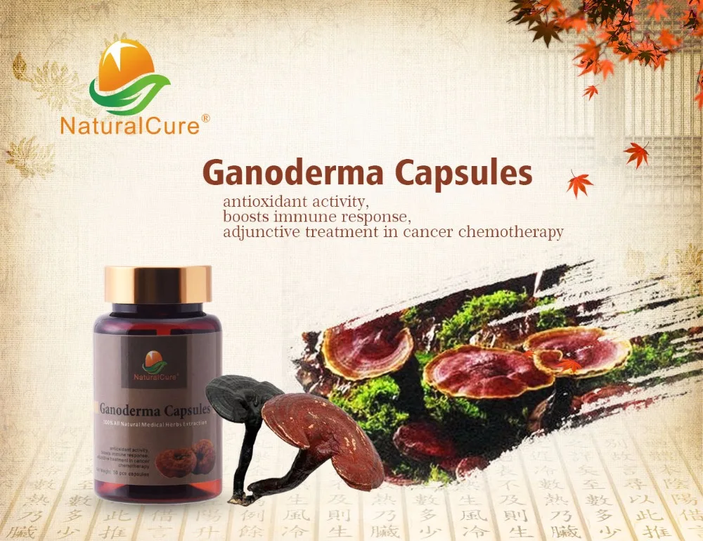 NaturalCure Ganoderma капсулы первый сорт гриба индейки хвост гранулы экстракции люцида
