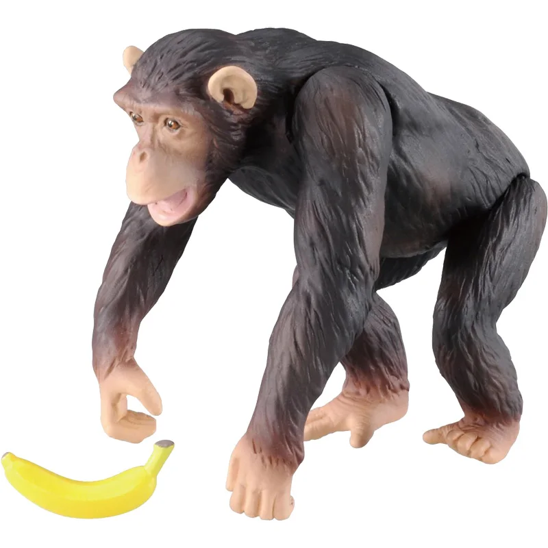 S01 Takara Tomy ANIA Animal Advanture AS-14 Chimpanzee с бананом дикие фигурки ABS детские развивающие