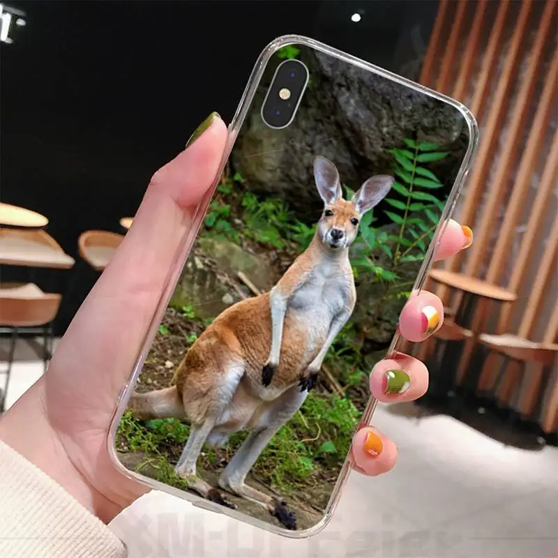 

Cute kangaroo Koala Phone Case coque fundas for iphone 12 11 PRO MAX X XS XR 5S 6S 7 8 PLUS SE 2020