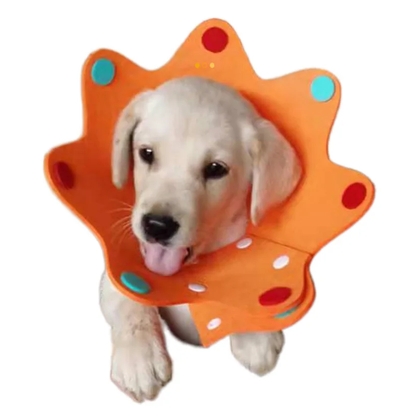 Ошейник для домашних питомцев войлочная цветная Водонепроницаемая маска защиты