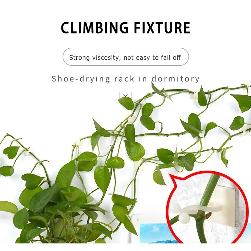 Зажим настенный ротанговый зажим для подъема растений фиксированная Пряжка 10 шт.