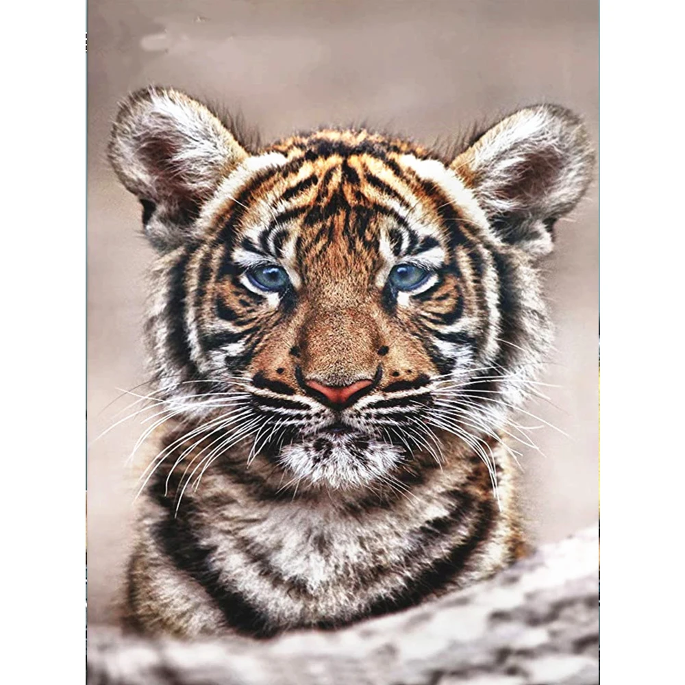 

KAMY YI DIY 5D EverShine алмазная живопись тигр картина Алмазная вышивка животные наборы для вышивки крестиком