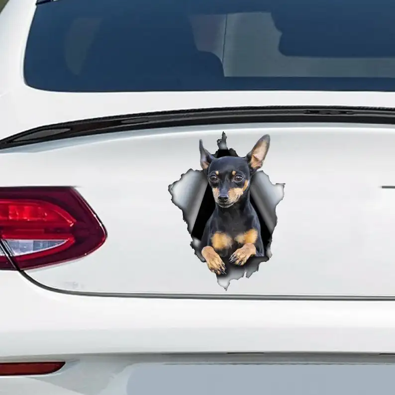 

Pinscher car decal , Pinscher magnet, dog car decal, pinscher sticker