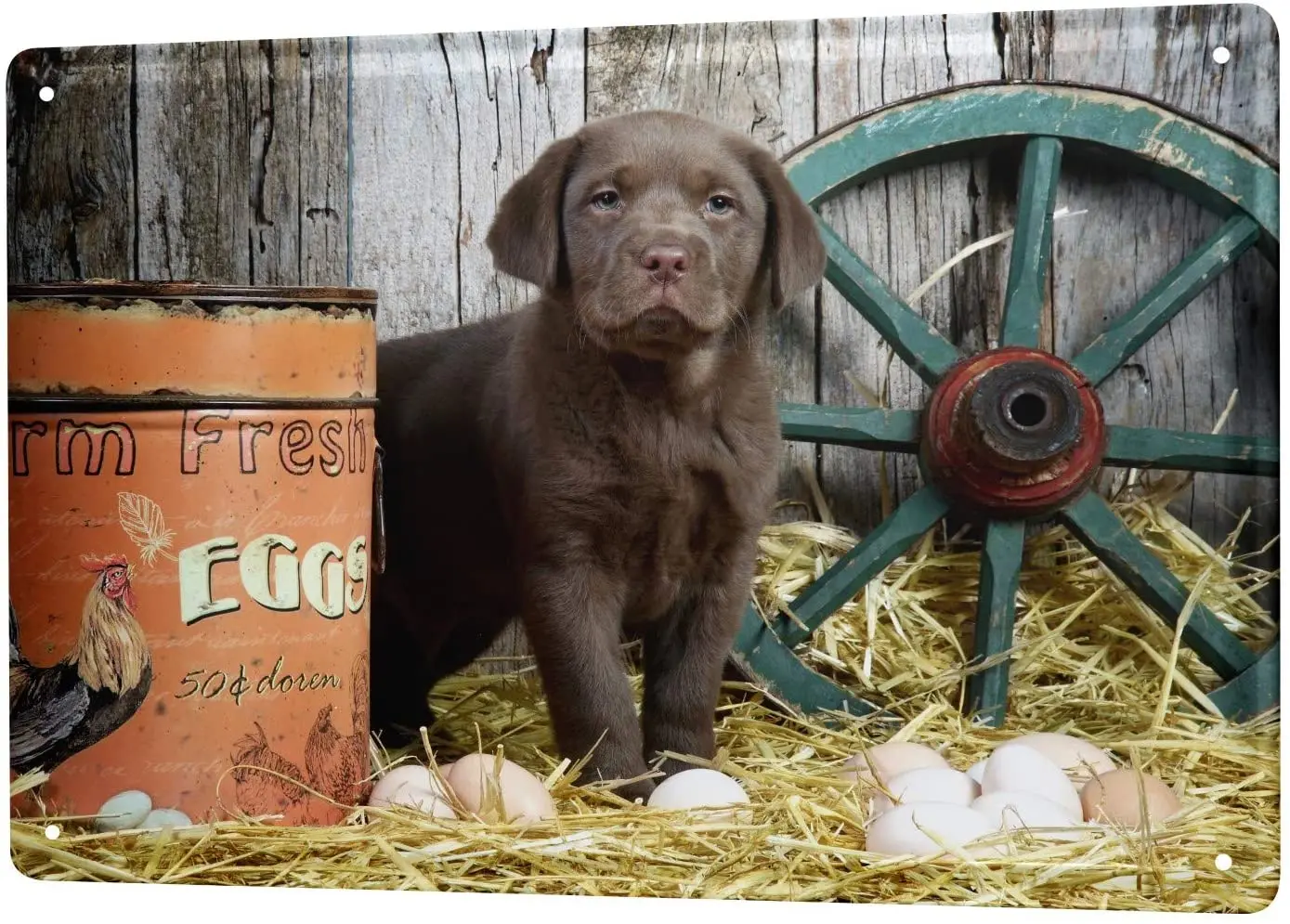 

LEotiE SINCE 2004 Tin Sign Metal Plate Decorative Sign Home Decor Plaques Breed Puppy Labrador Chicken coop 8X12