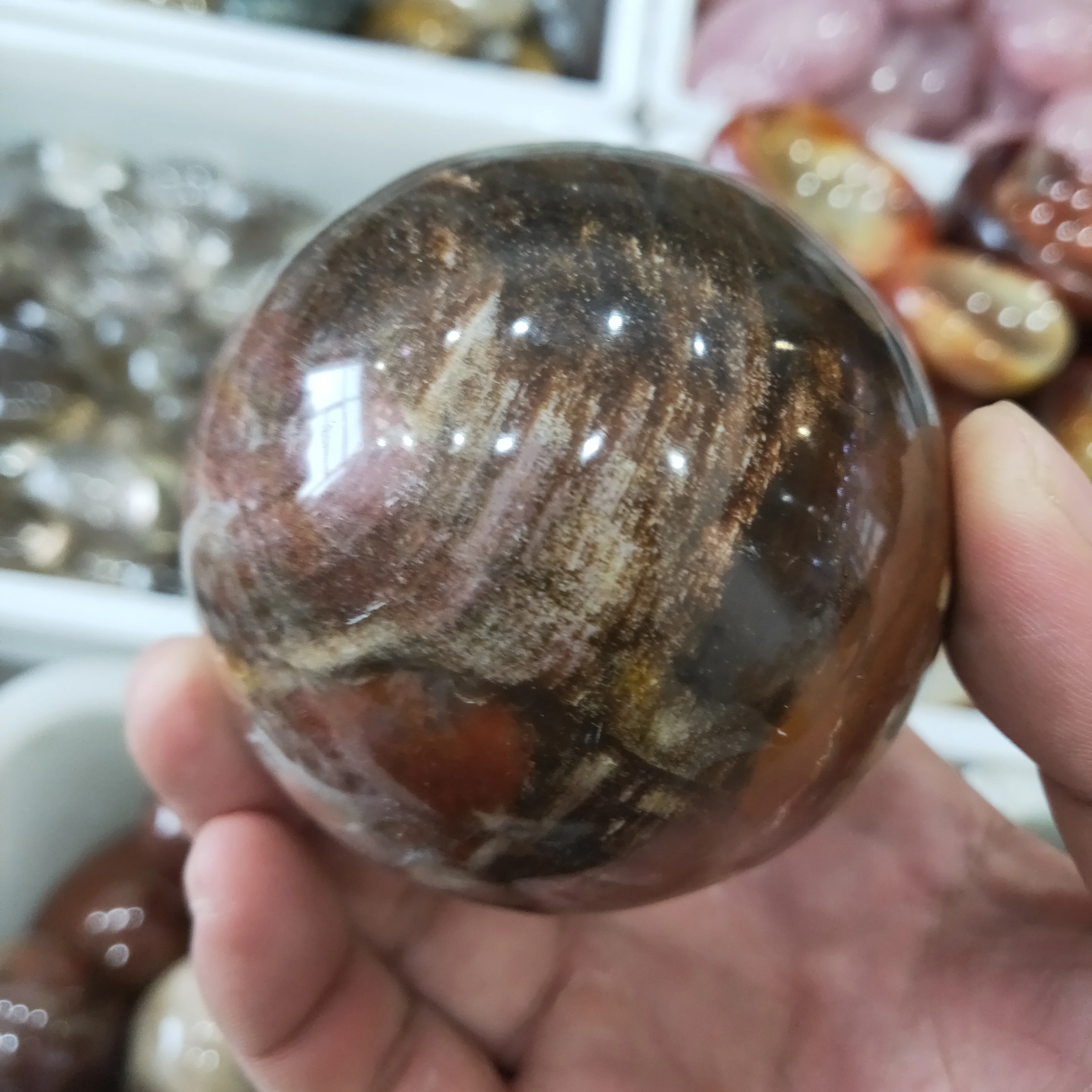 50-60 мм оптовая продажа низкая цена шар из натурального камня ископаемого дерева