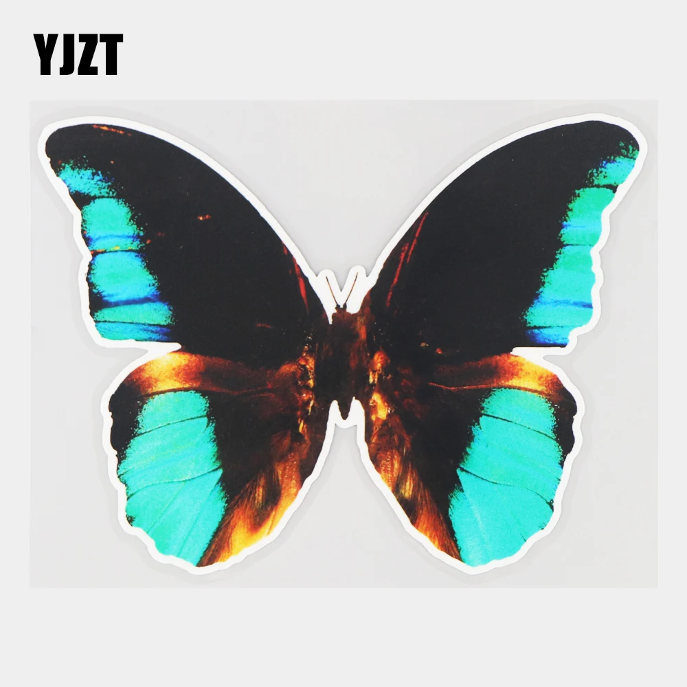 

YJZT, 16 × 12,2 см, красивые двухцветные наклейки на окна в виде бабочки, декоративные наклейки на корпус автомобиля с царапинами 21A-0235