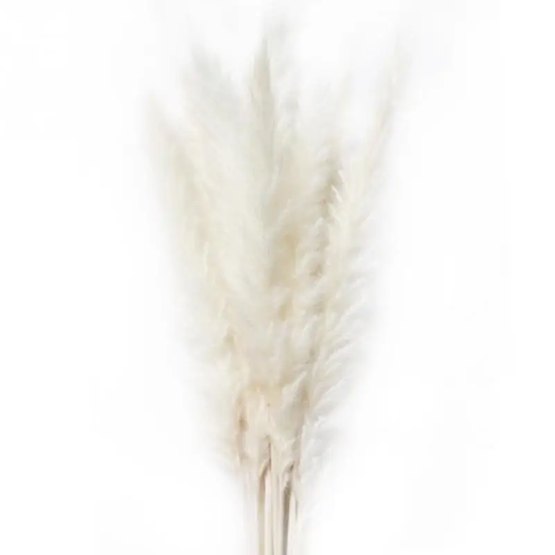 15 шт. прочные сушеные пампасы фрагмиты букет цветов свадебные букеты натуральные