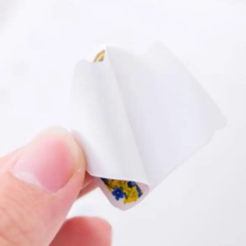 Наклейка с суккулентами новинка стационарные наклейки милые для учеников