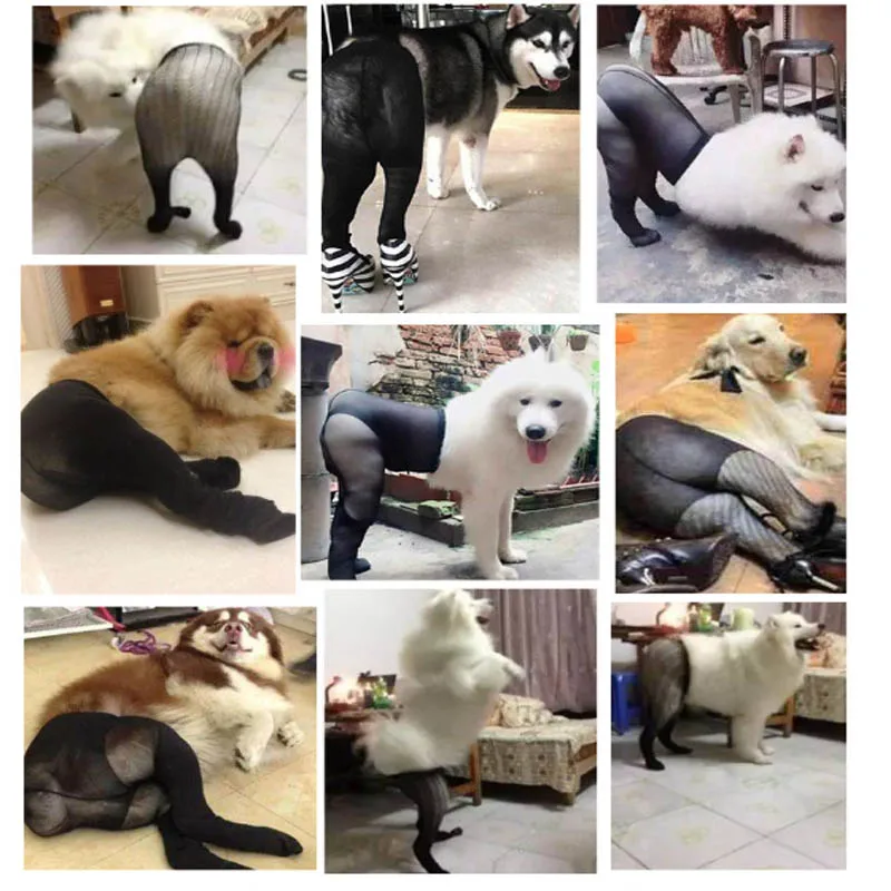 Носки для домашних животных Рождественский костюм на Хэллоуин костюмированной