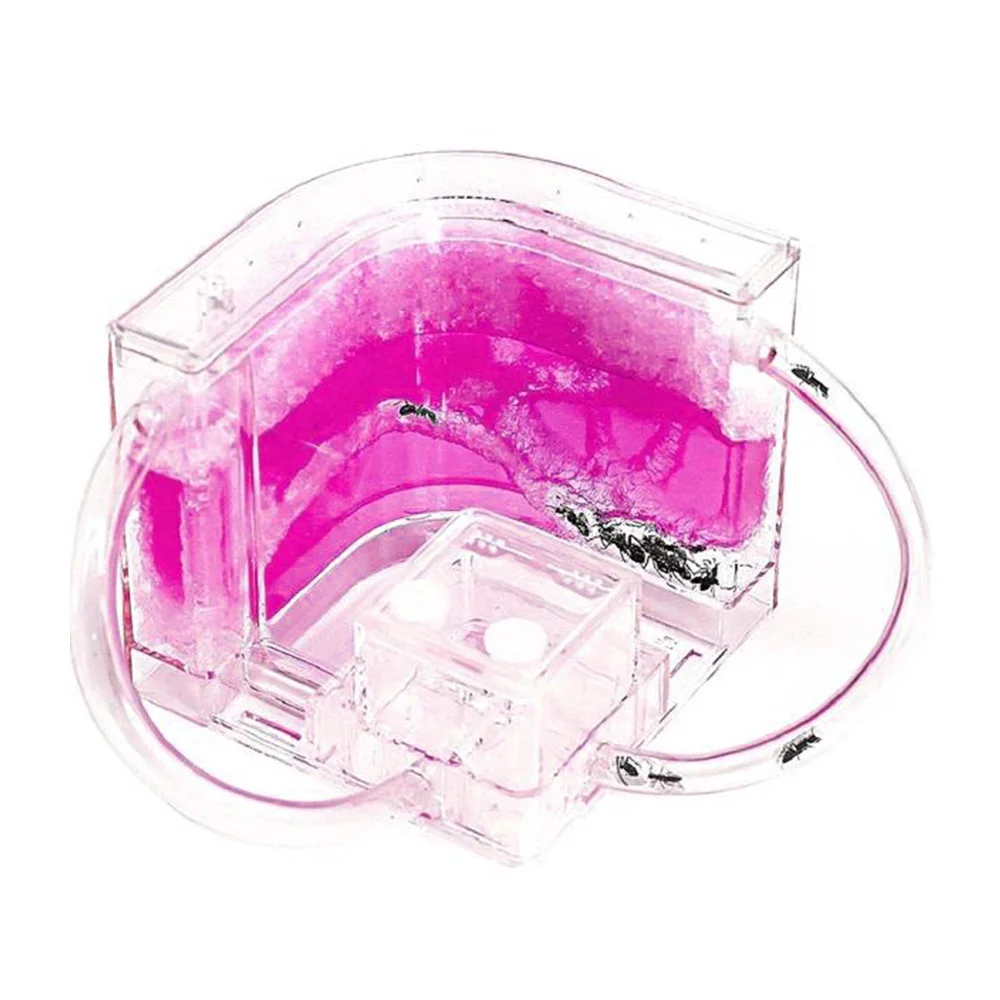 Муравьиный замок с поглощающим гелем для кормления насекомых чехол обучения