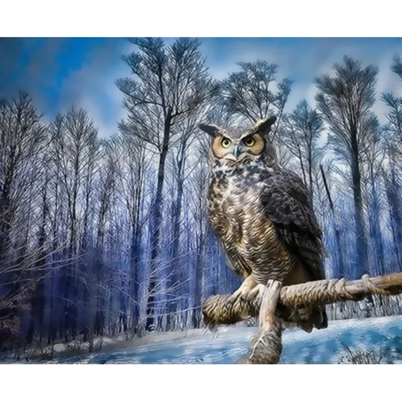 

DIY digital painting picture bird hand-painted oil painting gift canvas painting and digital home decoration