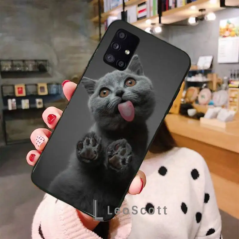 

British shorthair cat Phone Case For Samsung A32 A51 A52 A71 A50 A12 A21S S10 S20 S21 Plus Fe Ultra